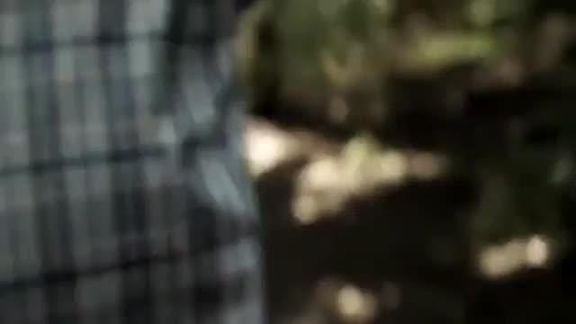Rabid enjoy 2013 more movies https://aflamll.blogspot.com/