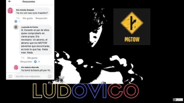 La vejez del mgtow